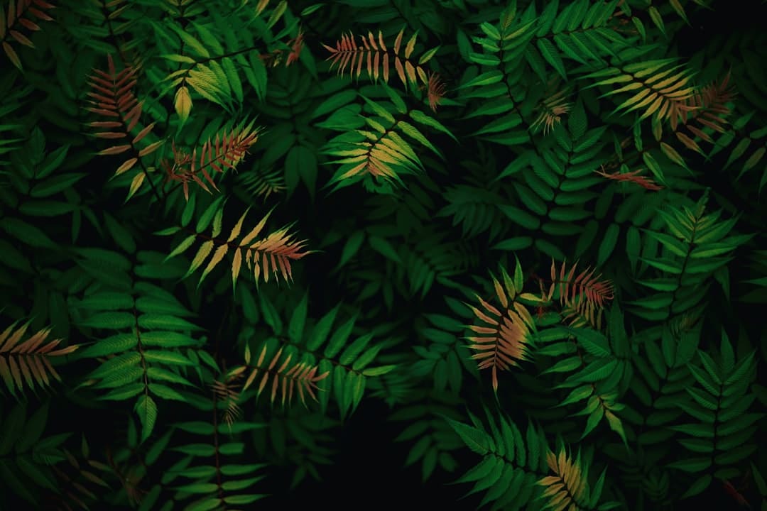 东芝“火箭炮SOUND”破局：独立芯片+三维声场界说高端电视音质新标准